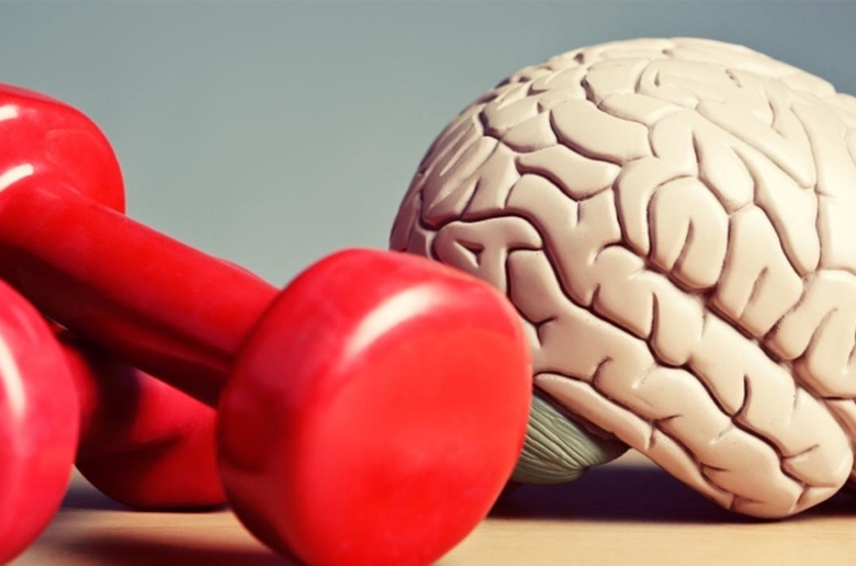 Η άσκηση επιβραδύνει τη συρρίκνωση του εγκεφάλου καθώς γερνάμε