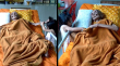 Luang Pho Yai, βουδιστής μοναχός 109 ετών